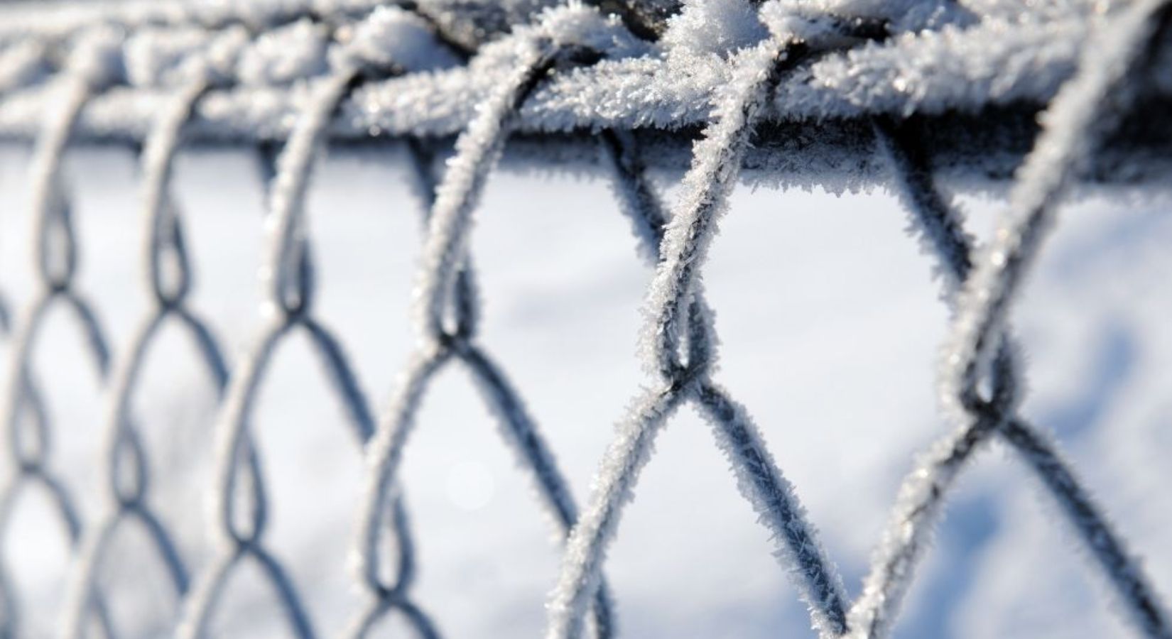 7 Ways To Protect Your Fence for Winter Weather | All Security Equipment