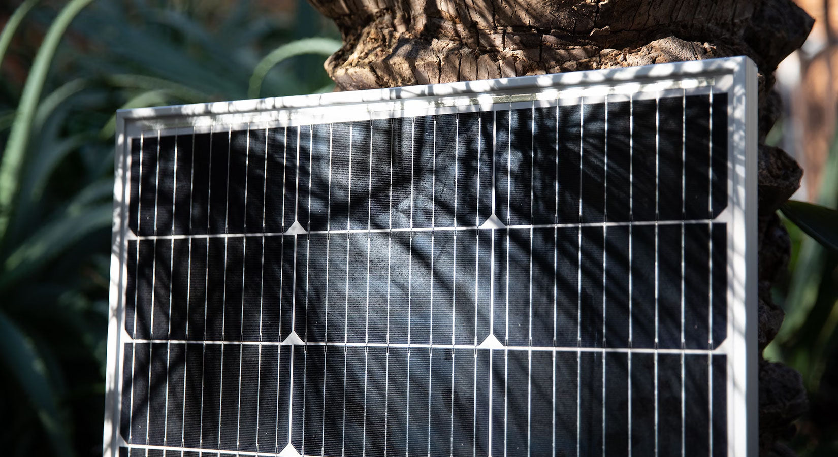 Apollo Solar Gate Openers: A Complete Guide | All Security Equipment