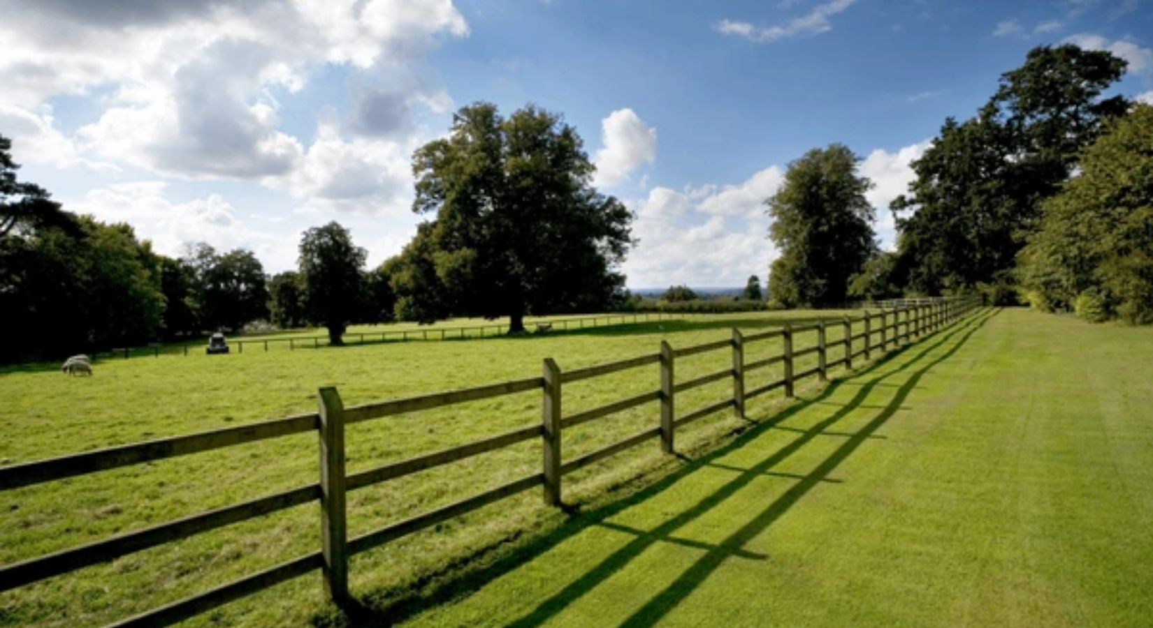 Fencing in a Rural Area vs. An Urban Area