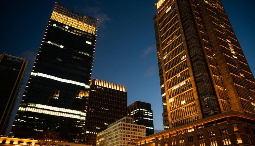 View of Security Solutions for Multi-Tenant Properties: Surveillance Cameras,
