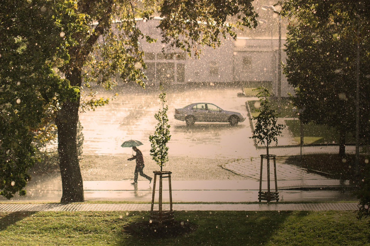 Remote Gate Access: How to Storm-Proof Your System | All Security Equipment