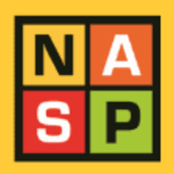 NASP | All Security Equipment
