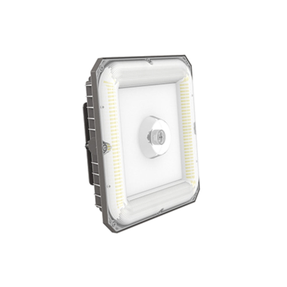 ASE LED Canopy Light 3CCT / 4Watt | All Security Equipment - 3