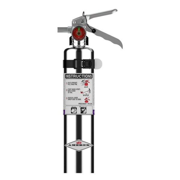 Amerex-2.5lb-Purple-K-Fire-