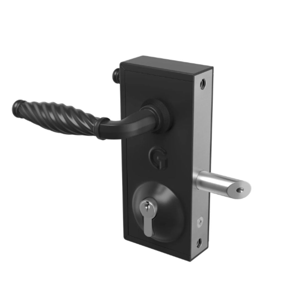 Gatemaster Standard Superlock for 10-30 mm Gates - Traditional Handle | All Security Equipment
