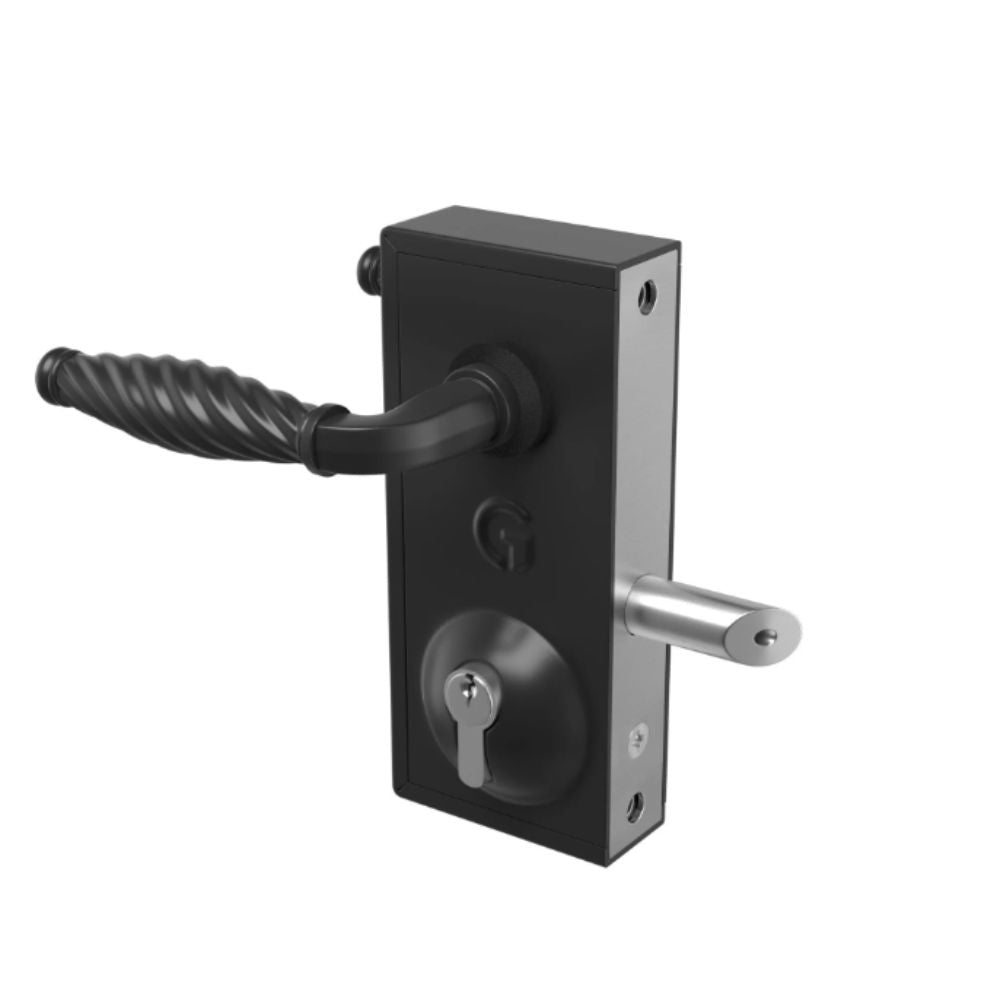 Gatemaster Standard Superlock for 40-60 mm Gates - Traditional Handle | All Security Equipment