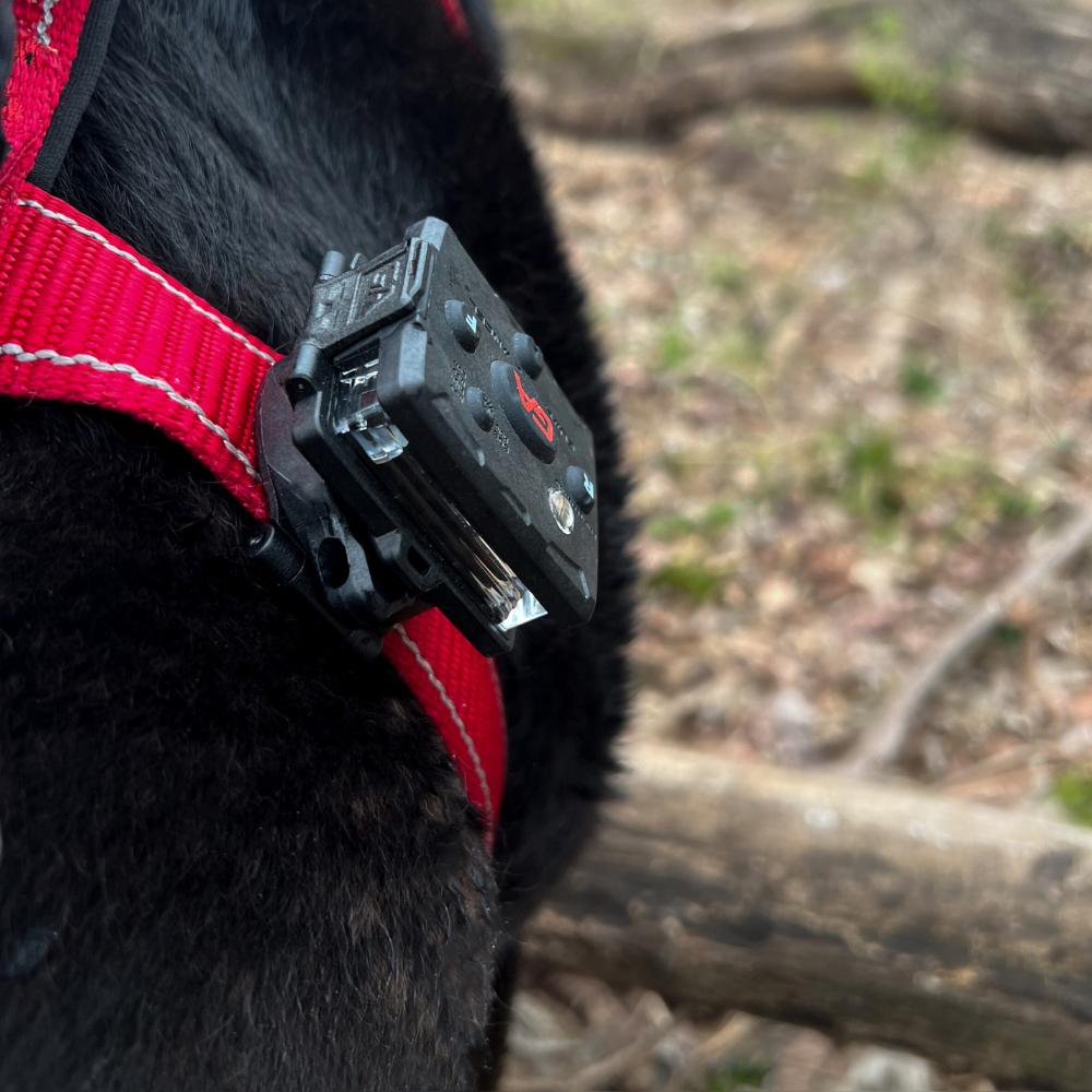 Guardian Angel Magnetic Snap-Lock Mount (Dog/K9 Safety) | GUA-ACC-SLM