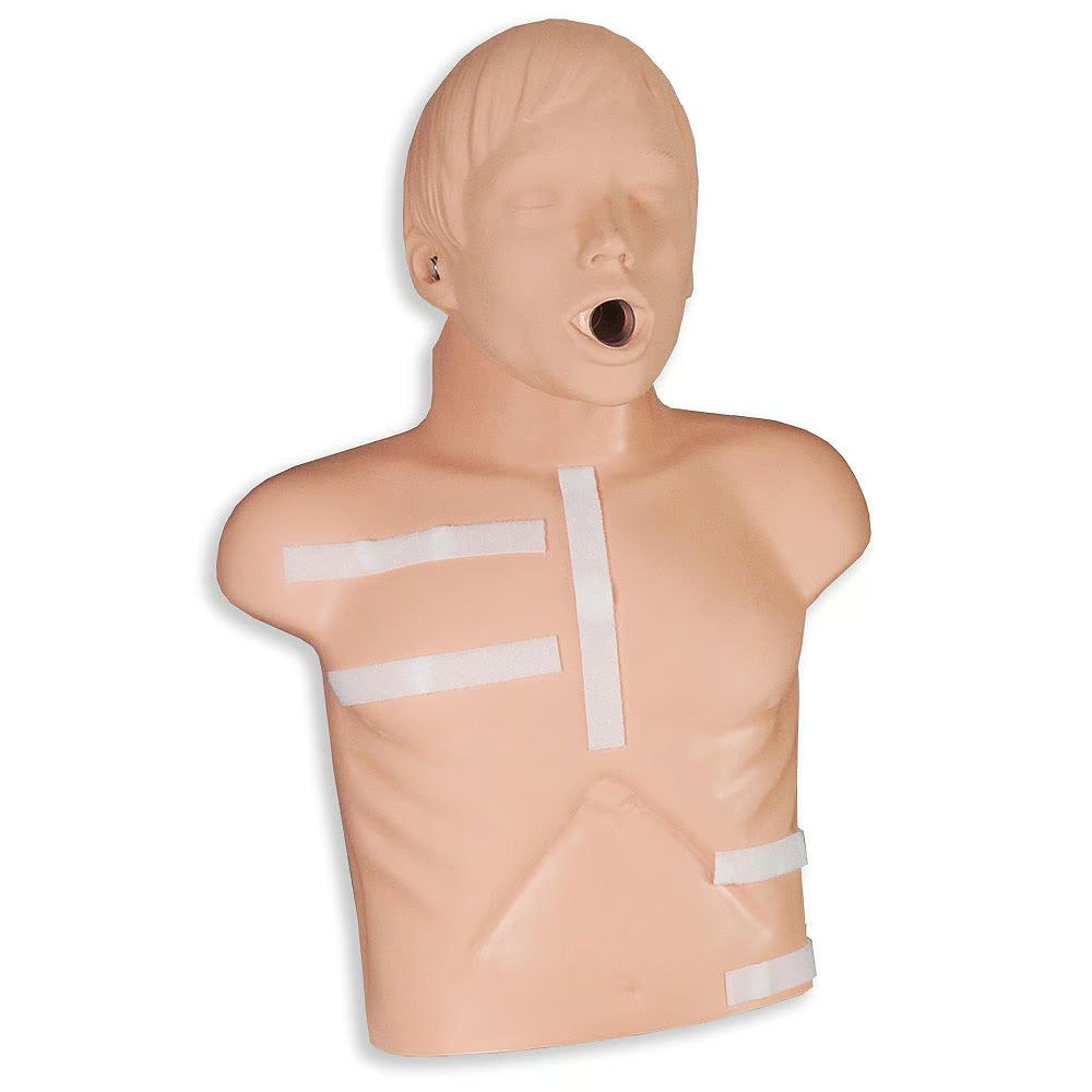 Zoll AED Plus Demo Manikin | All Security Equipment