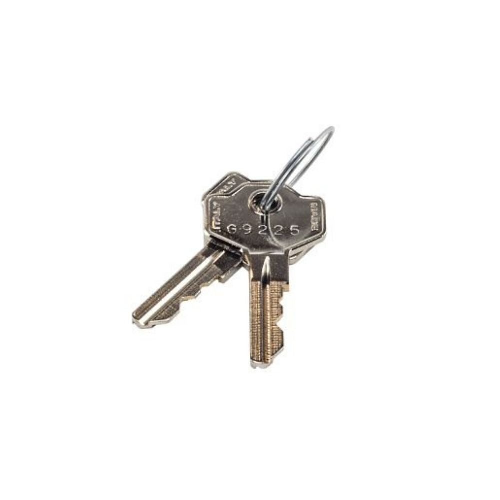 LiftMaster Release Key (Qty. 2) 041ASWG-0119 | All Security Equipment
